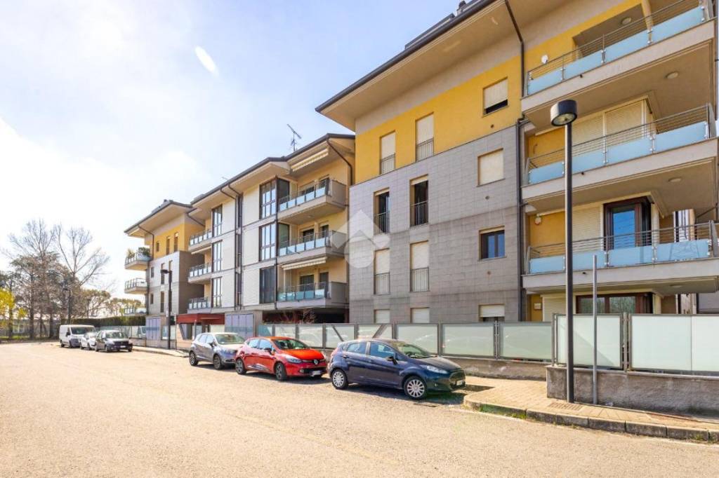 immagine annuncio 4 di 15