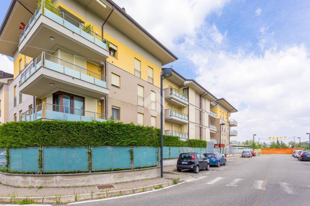 immagine annuncio 5 di 15