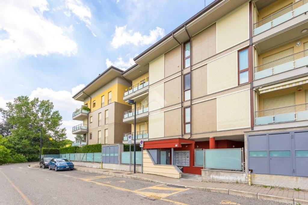 immagine annuncio 13 di 15