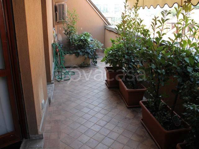 immagine annuncio 2 di 12