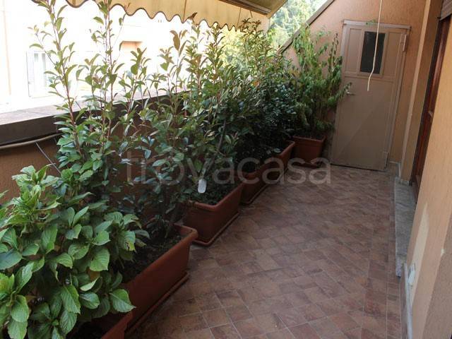 immagine annuncio 3 di 12