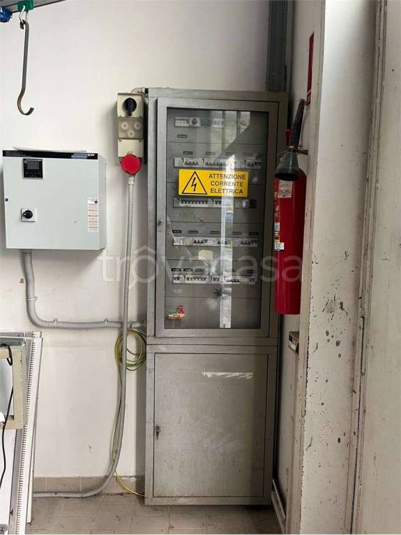 immagine annuncio 7 di 15