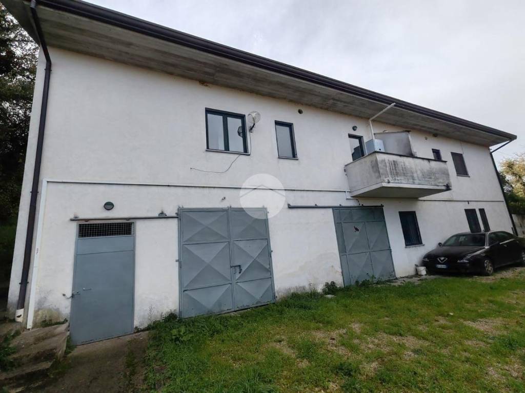 immagine annuncio 3 di 14