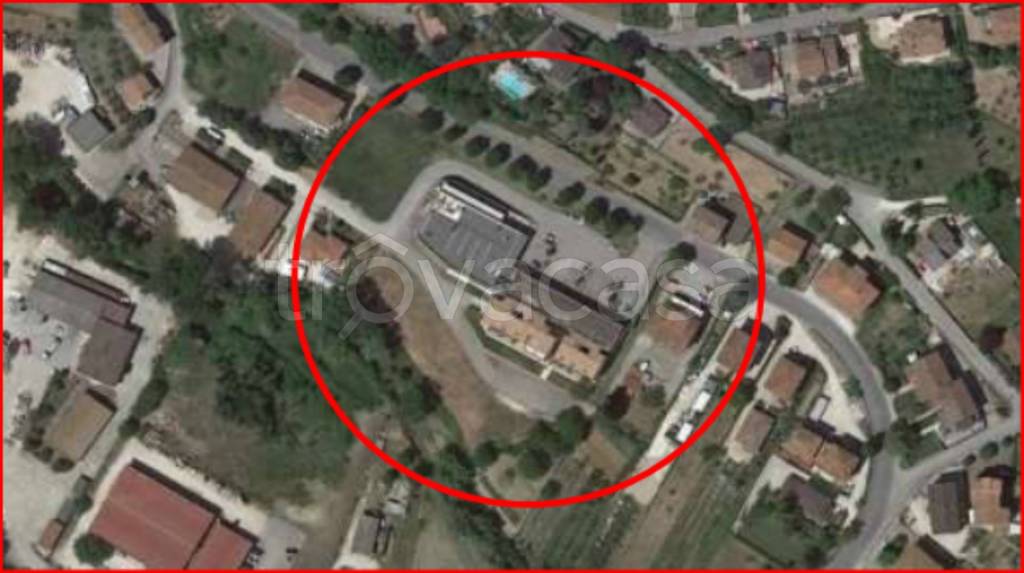 immagine annuncio 12 di 13