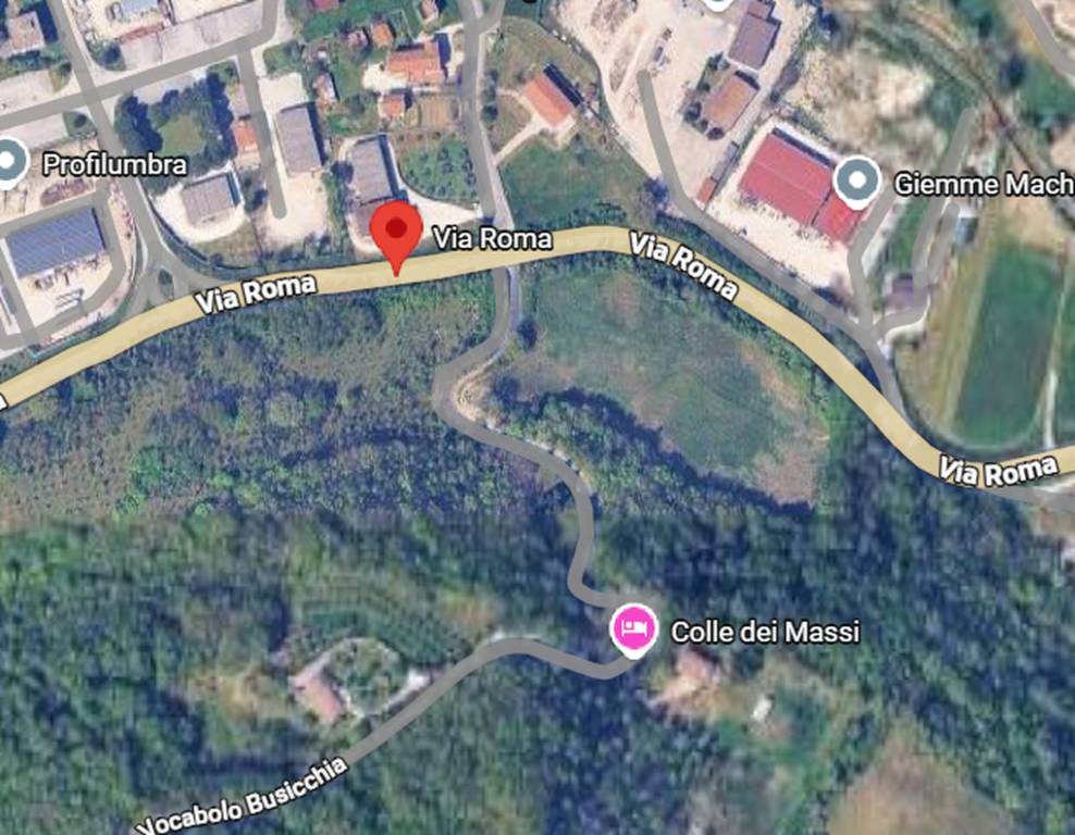 immagine annuncio 2 di 11