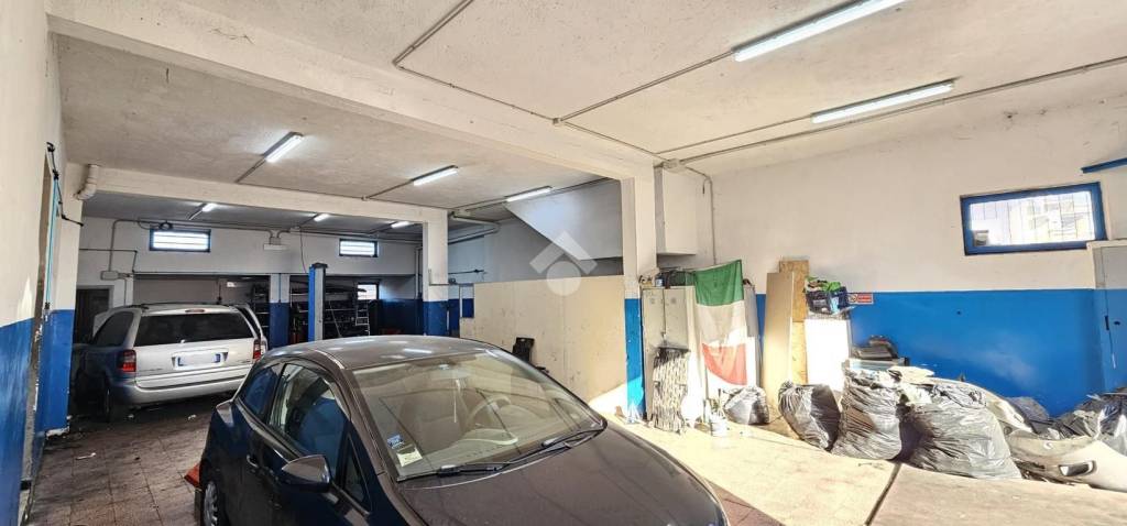 immagine annuncio 11 di 15