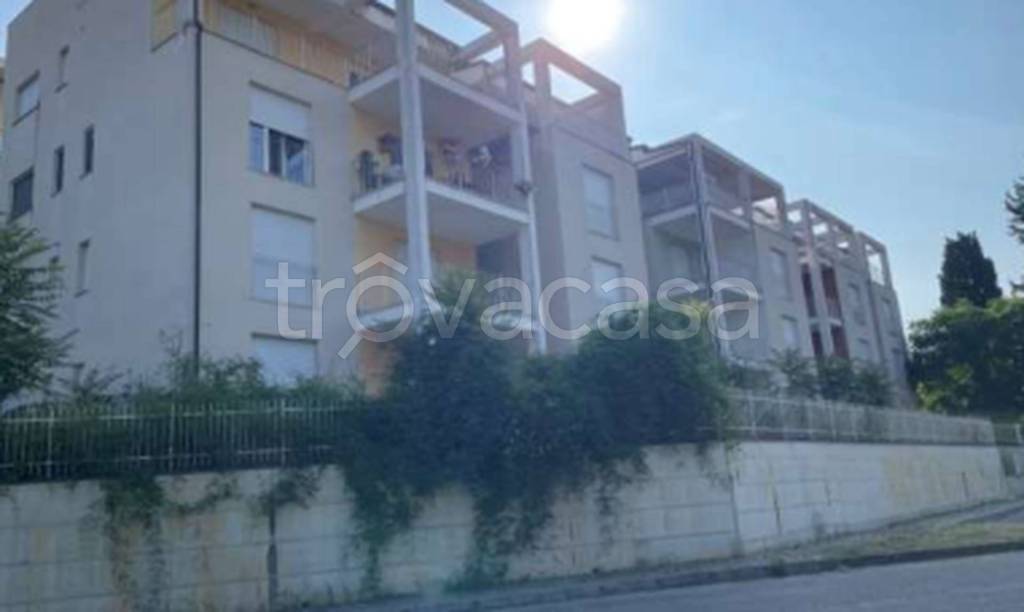 immagine annuncio 7 di 11