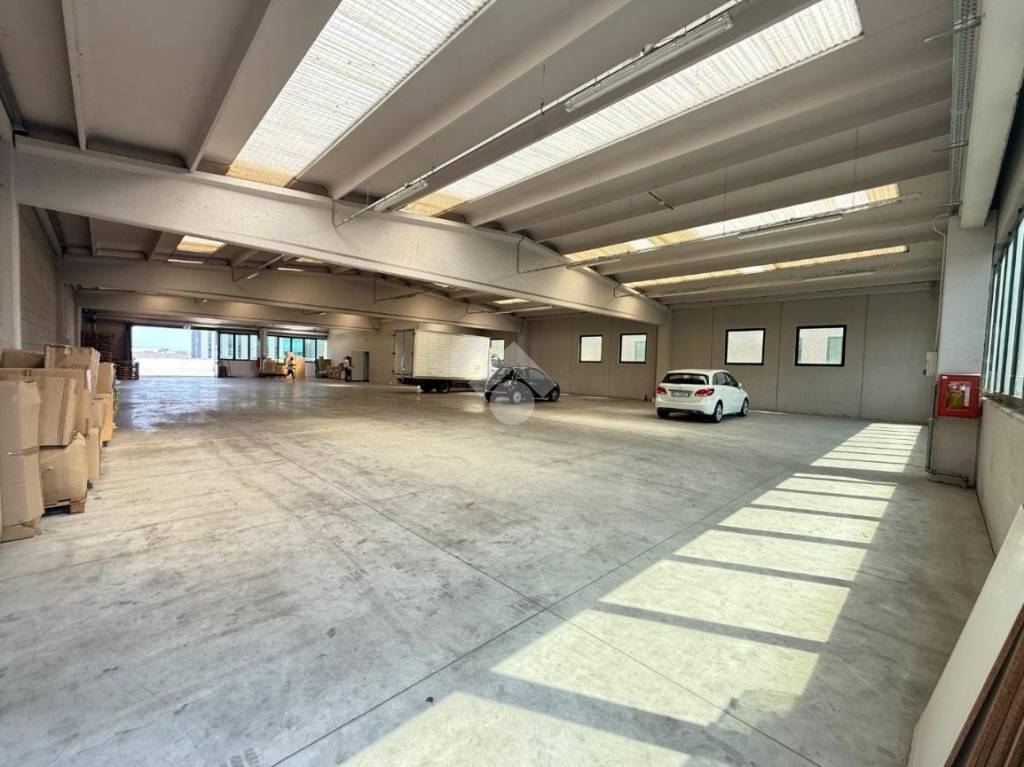 immagine annuncio 1 di 13