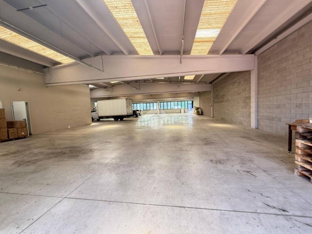 immagine annuncio 3 di 13