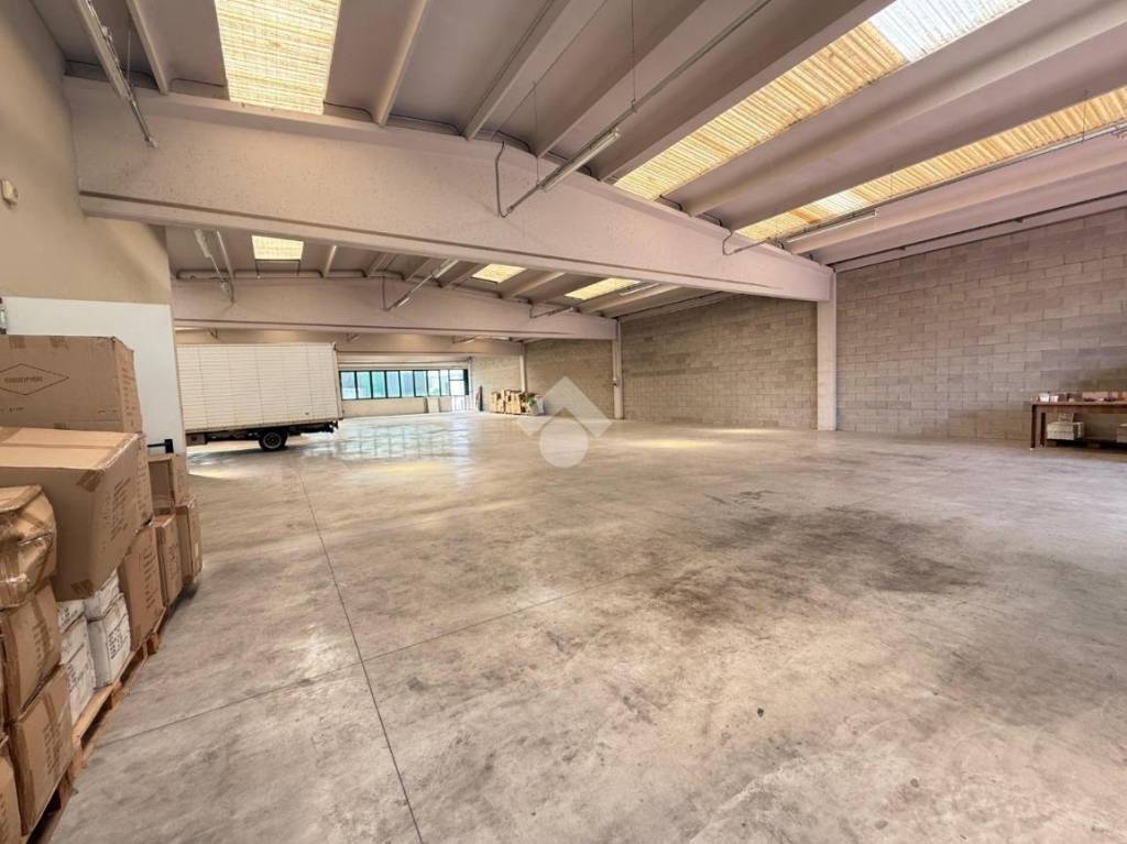 immagine annuncio 4 di 13