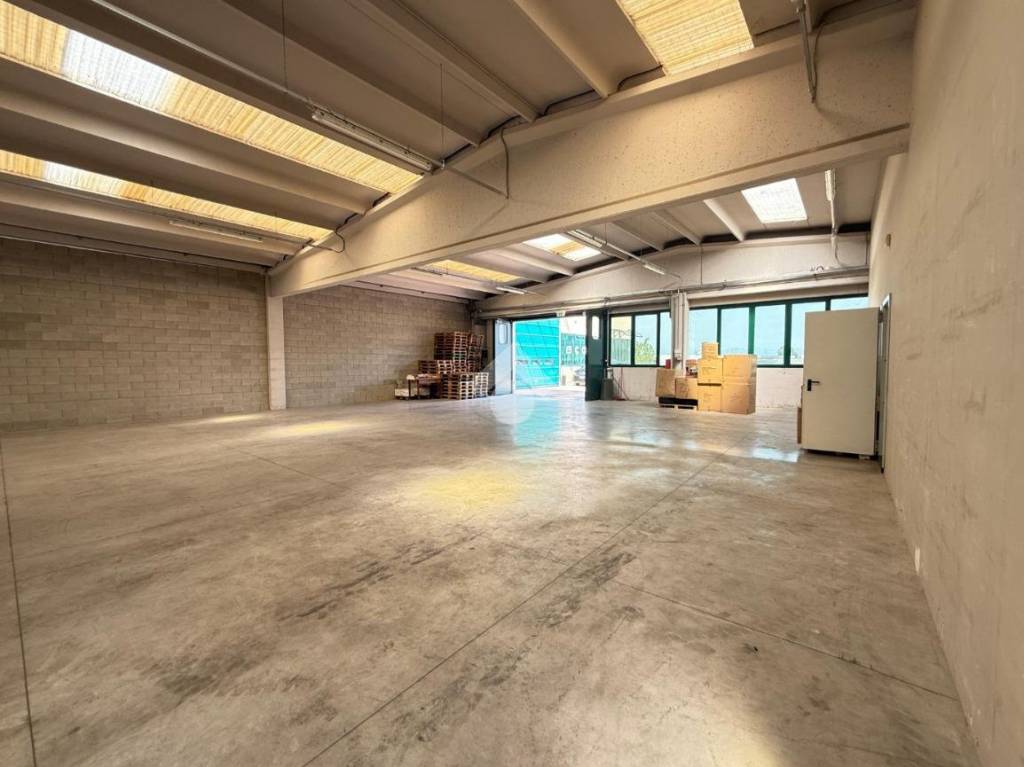 immagine annuncio 5 di 13