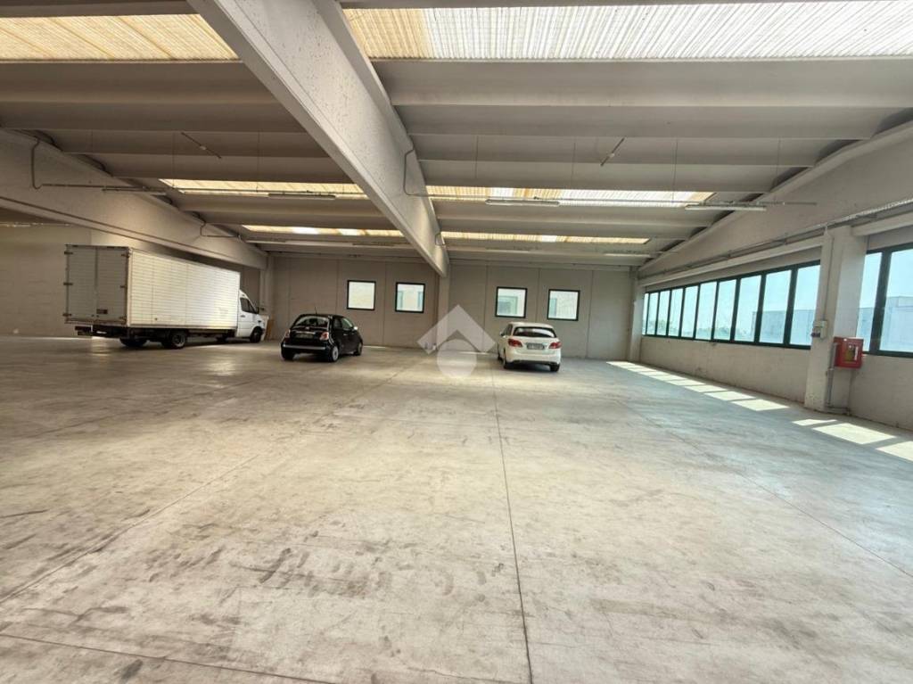 immagine annuncio 6 di 13