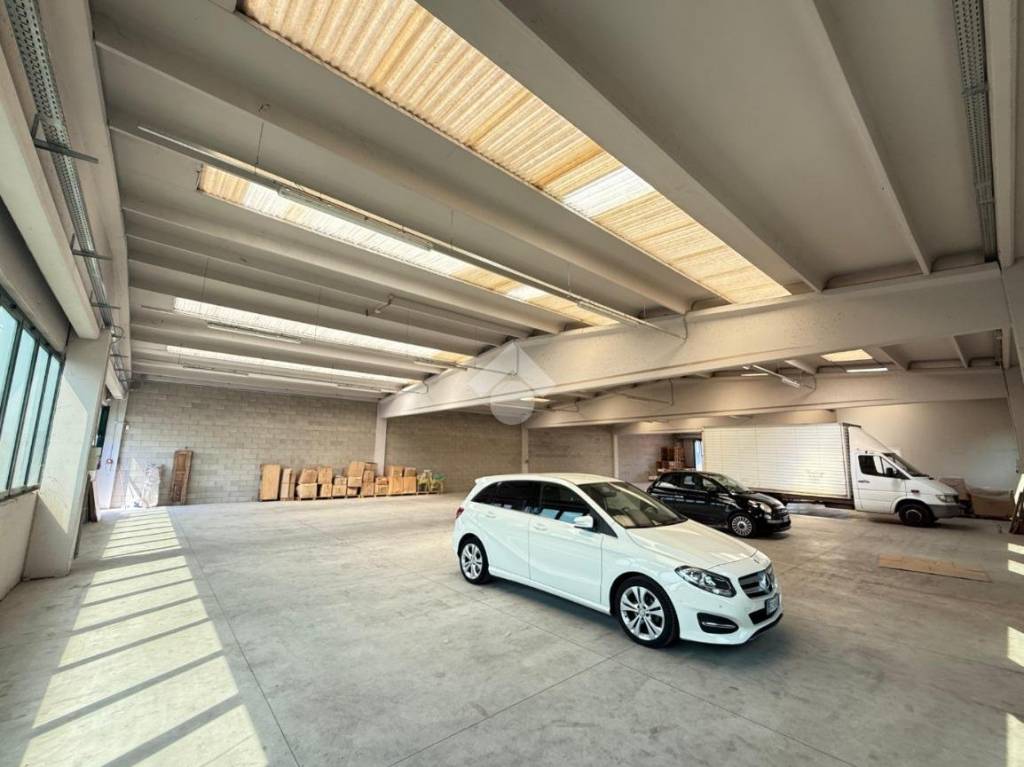 immagine annuncio 7 di 13