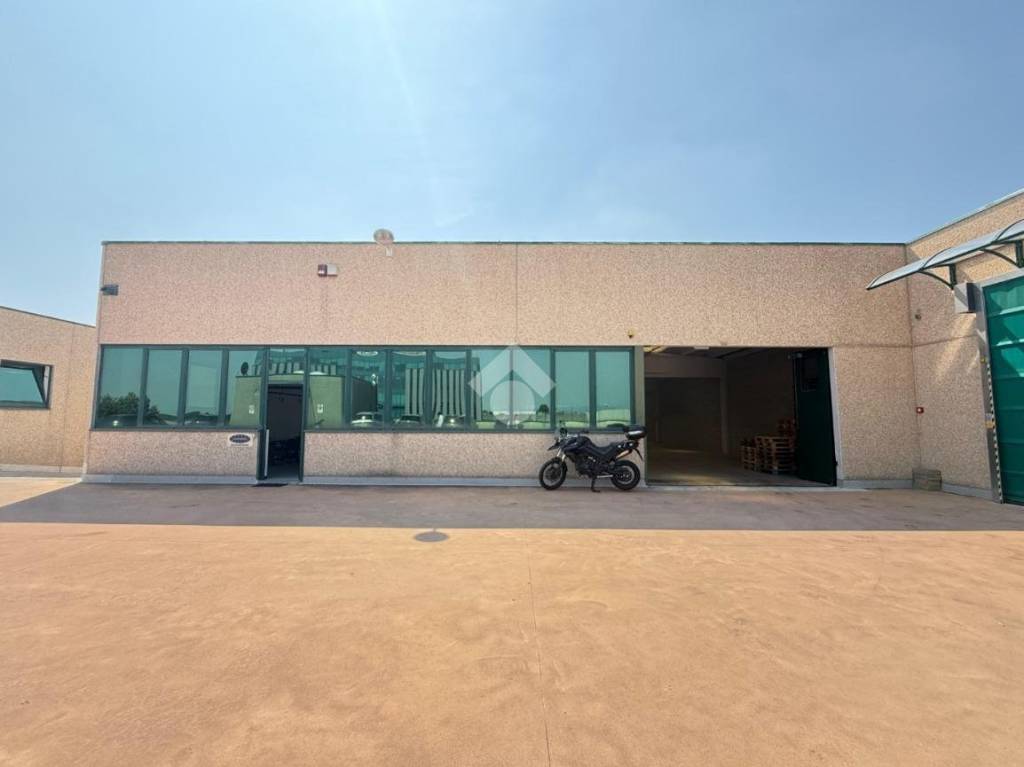 immagine annuncio 9 di 13