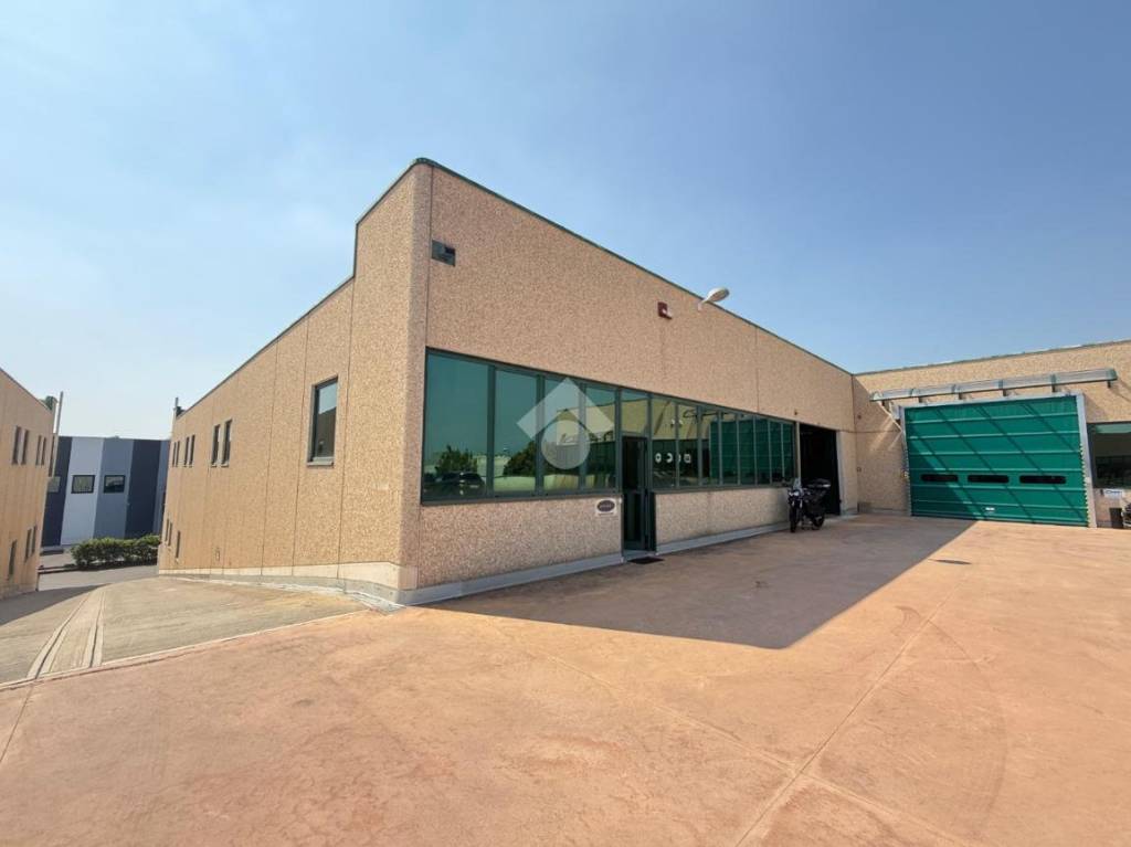 immagine annuncio 10 di 13