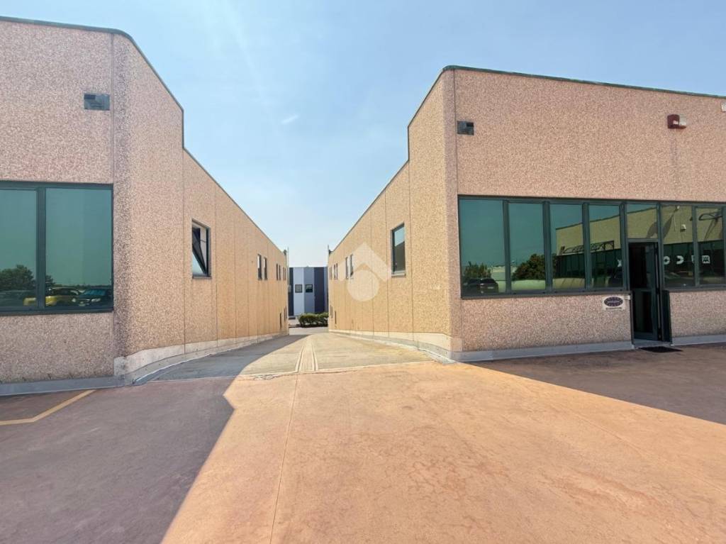 immagine annuncio 11 di 13