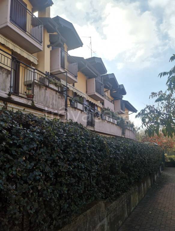 immagine annuncio 2 di 7