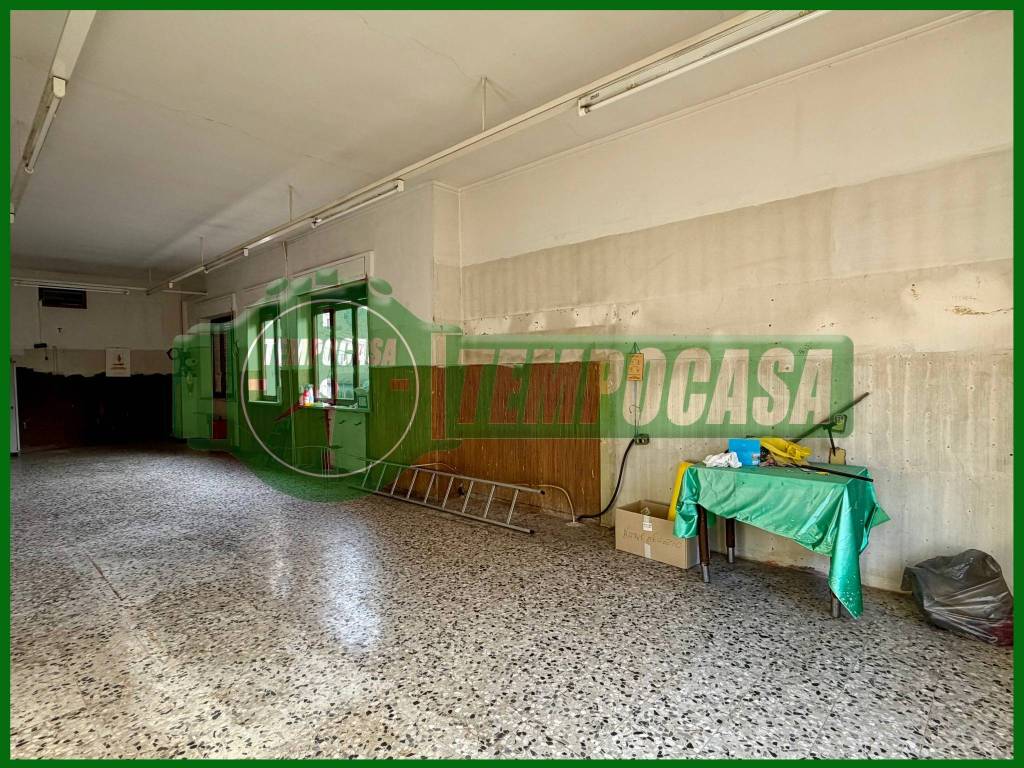 immagine annuncio 5 di 13