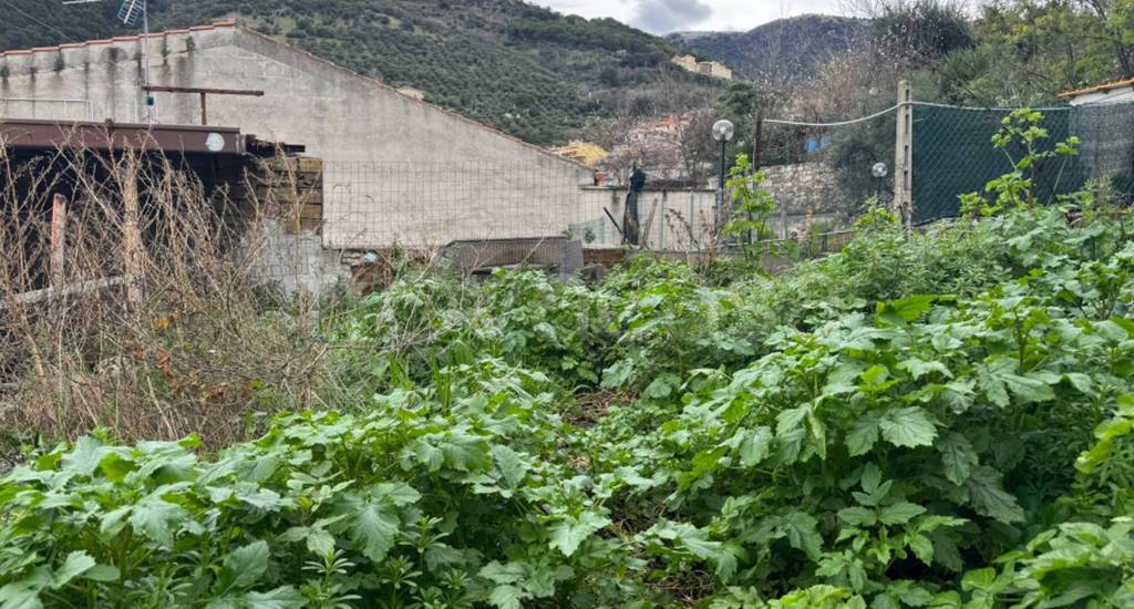 immagine annuncio 6 di 9