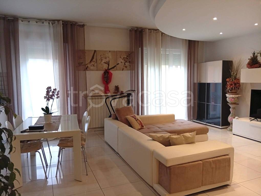 immagine annuncio 3 di 12