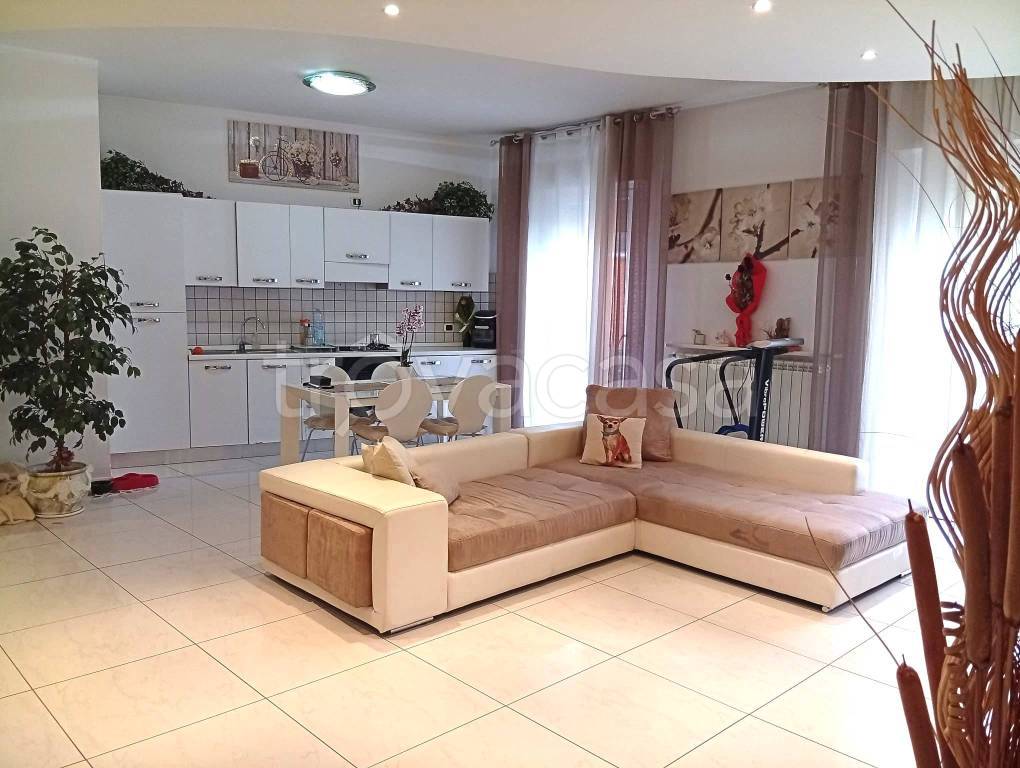 immagine annuncio 2 di 12