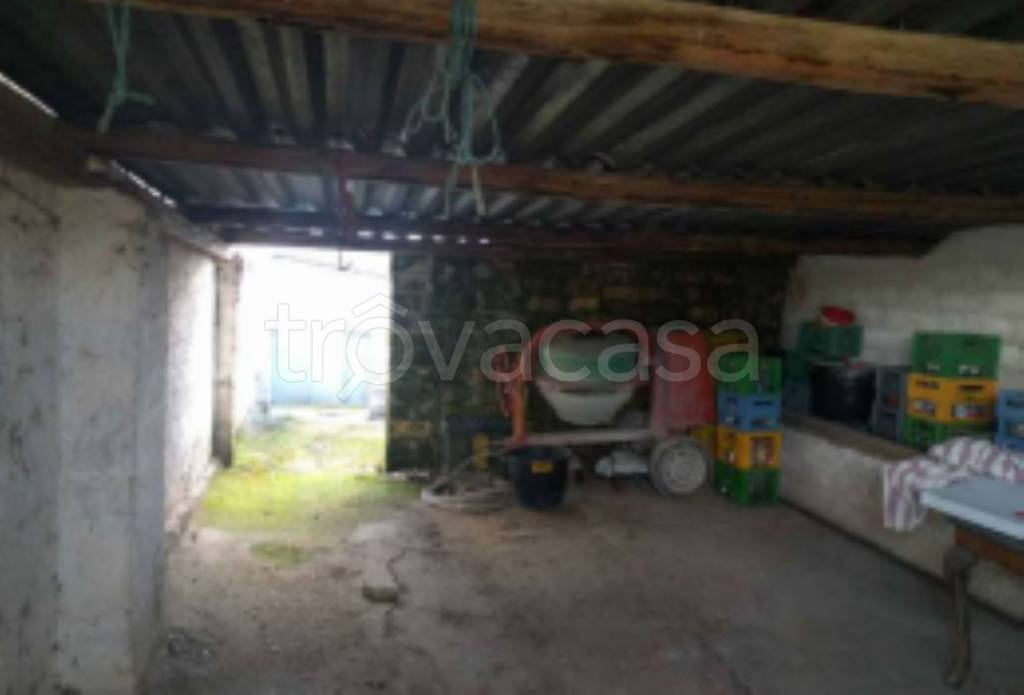 immagine annuncio 3 di 11