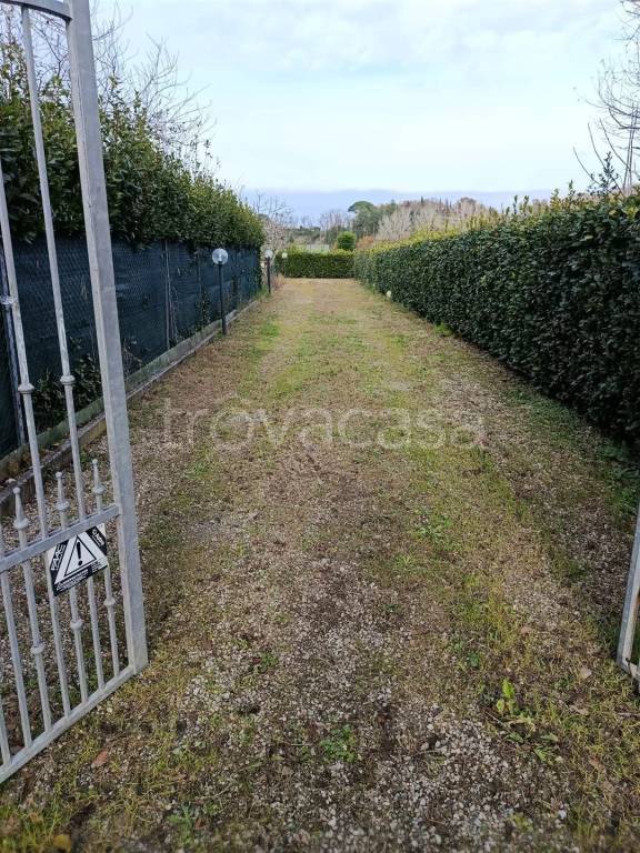 immagine annuncio 2 di 14