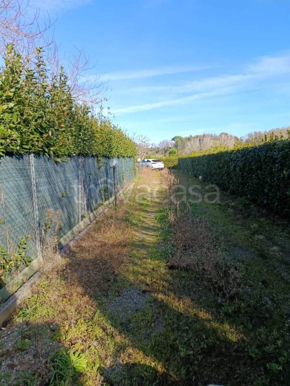 immagine annuncio 13 di 14