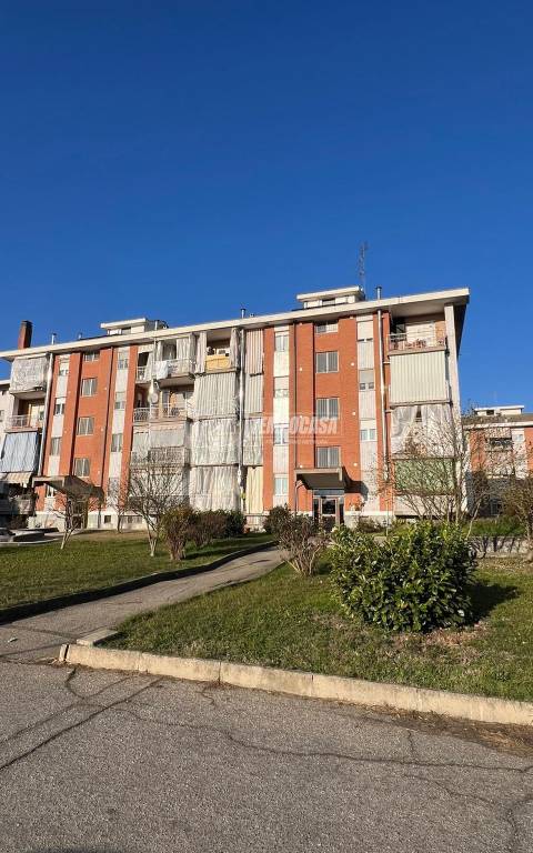 immagine annuncio 3 di 13