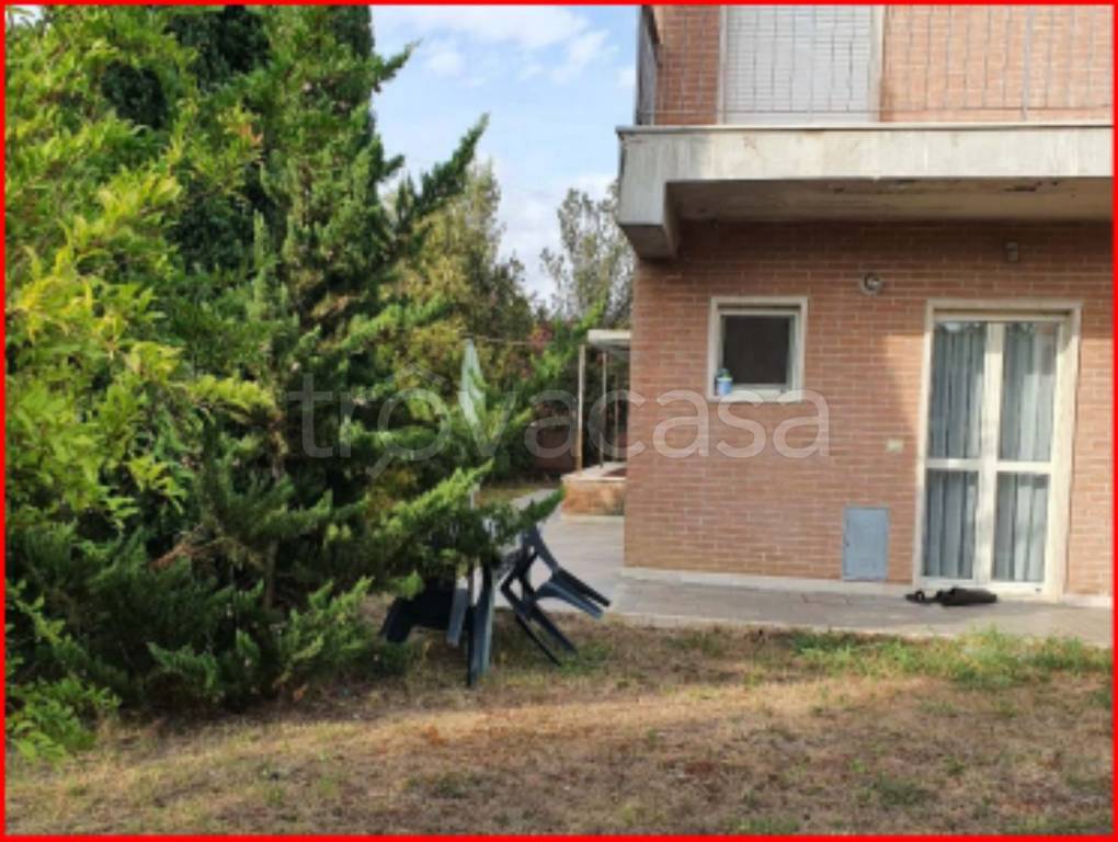 immagine annuncio 11 di 13