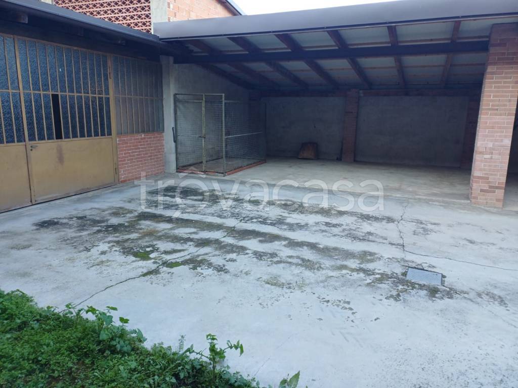 immagine annuncio 12 di 13