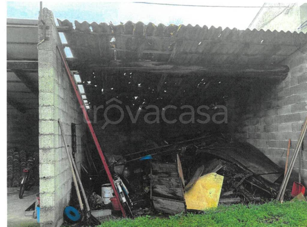 immagine annuncio 5 di 11