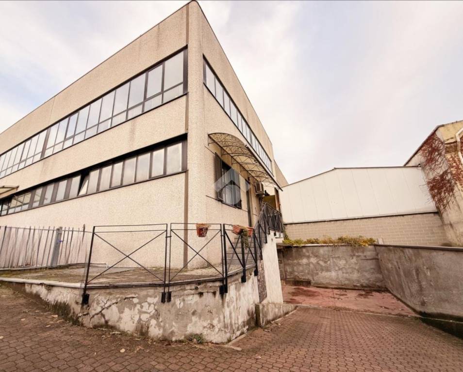 immagine annuncio 4 di 15