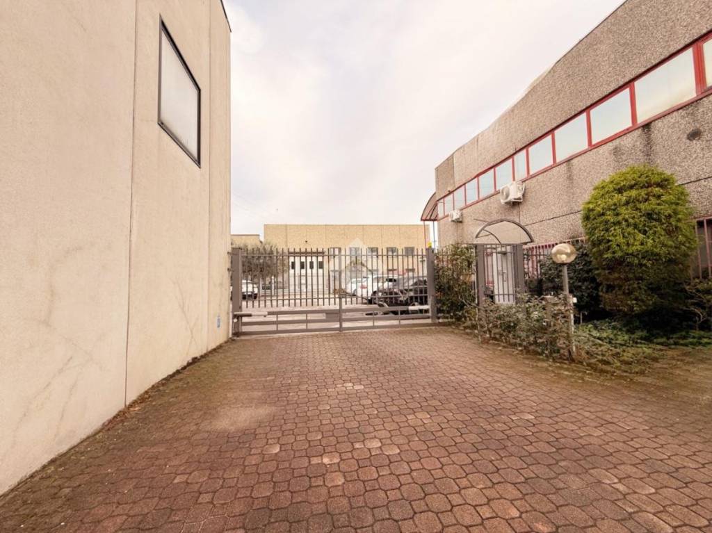 immagine annuncio 6 di 15