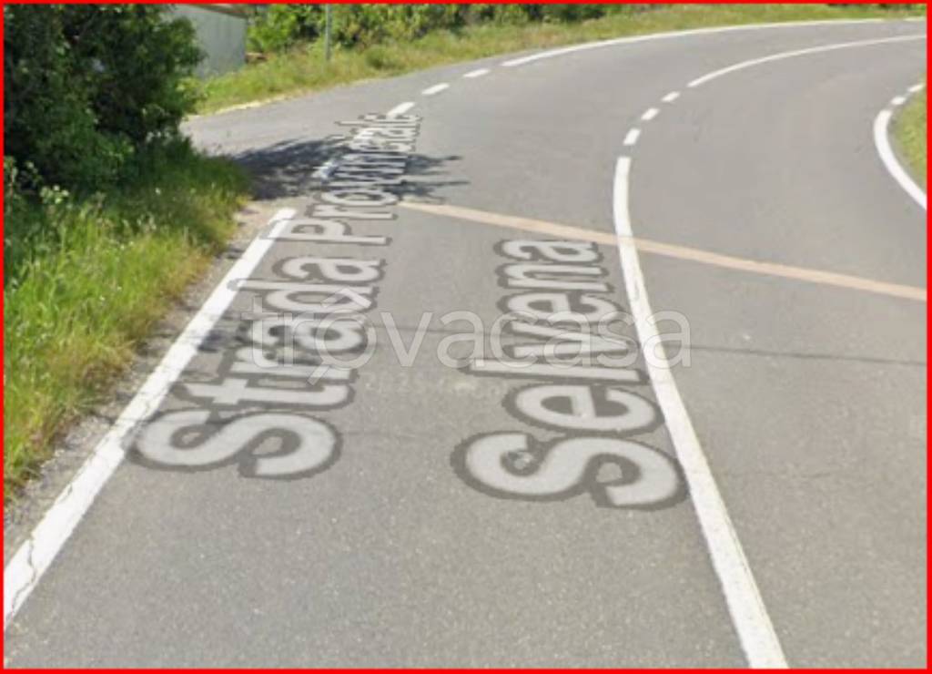 immagine annuncio 3 di 12