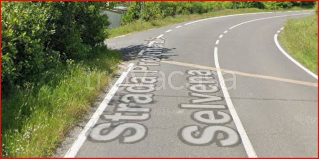 immagine annuncio 4 di 12