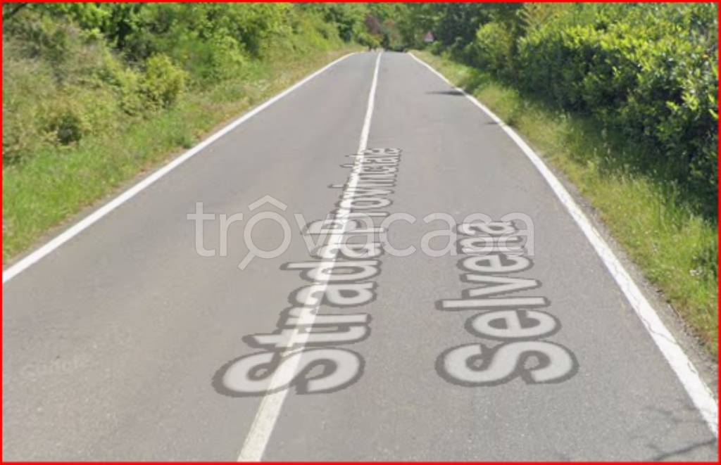 immagine annuncio 5 di 12