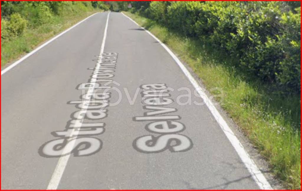 immagine annuncio 6 di 12