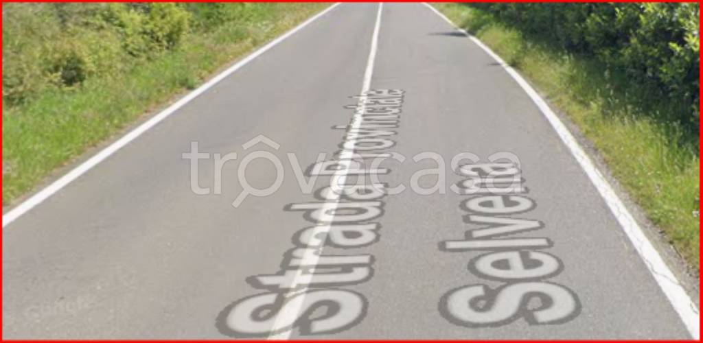 immagine annuncio 8 di 12