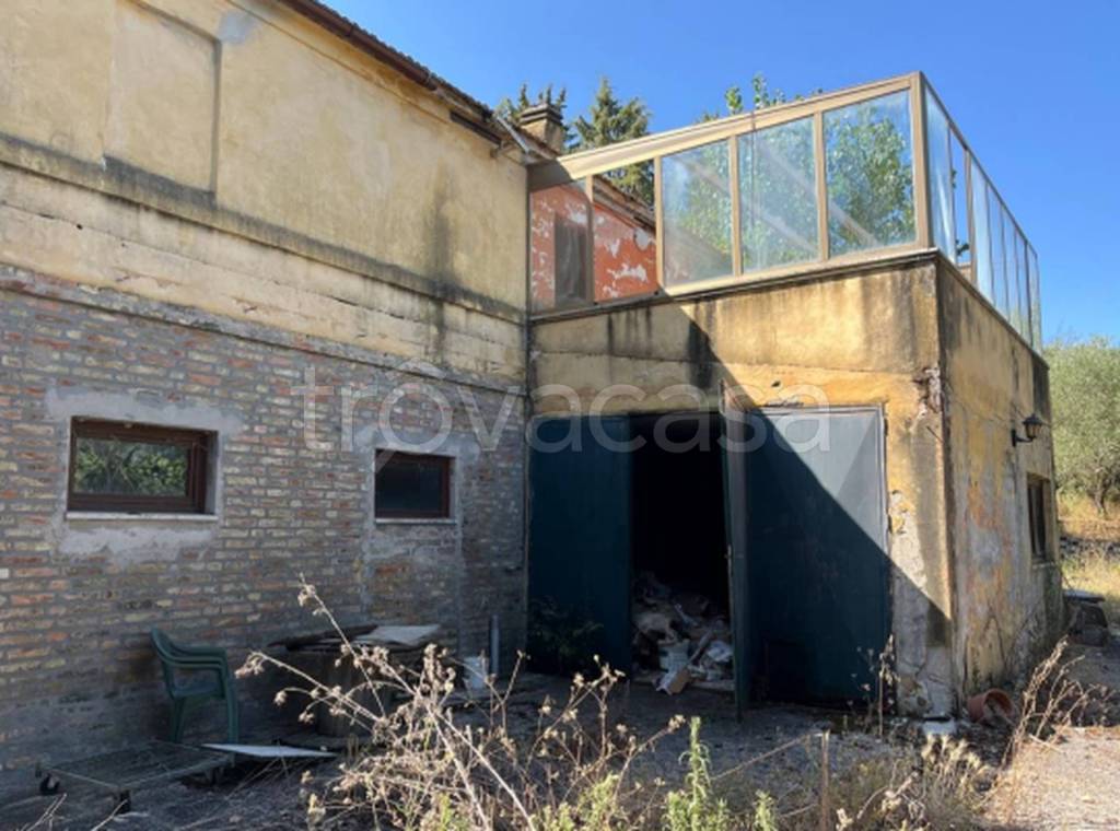 immagine annuncio 5 di 11