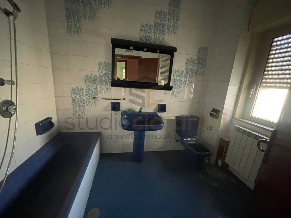 immagine annuncio 12 di 14