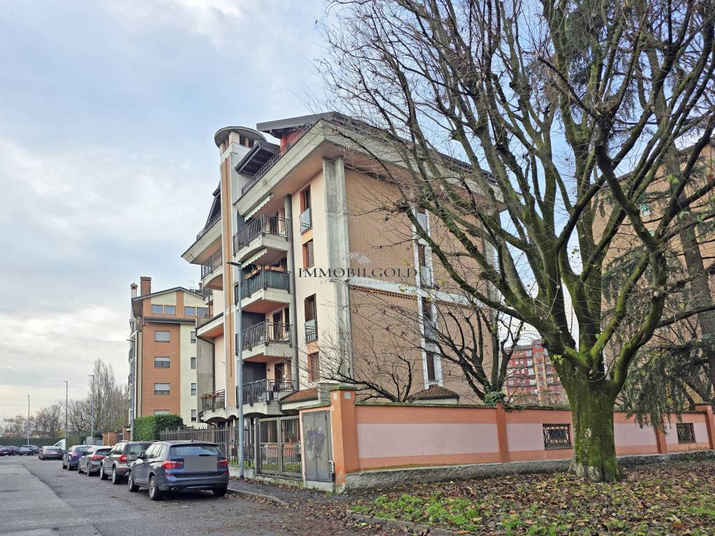 immagine annuncio 14 di 15