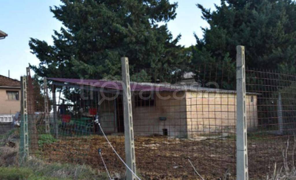 immagine annuncio 4 di 11