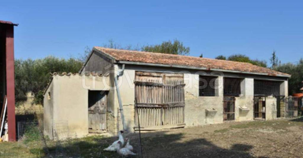 immagine annuncio 6 di 11