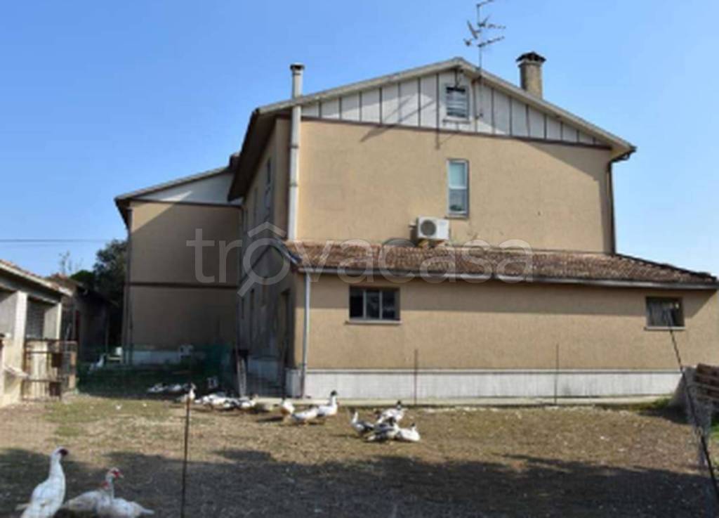 immagine annuncio 8 di 11