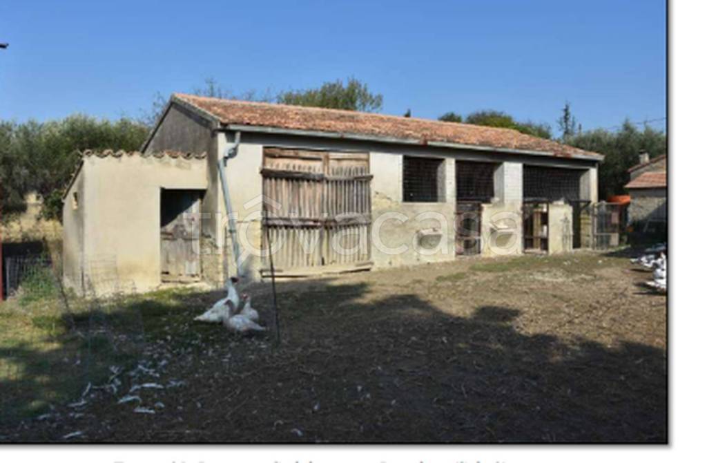 immagine annuncio 9 di 11