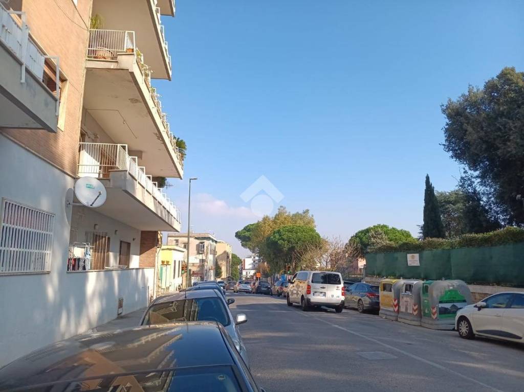 immagine annuncio 11 di 14