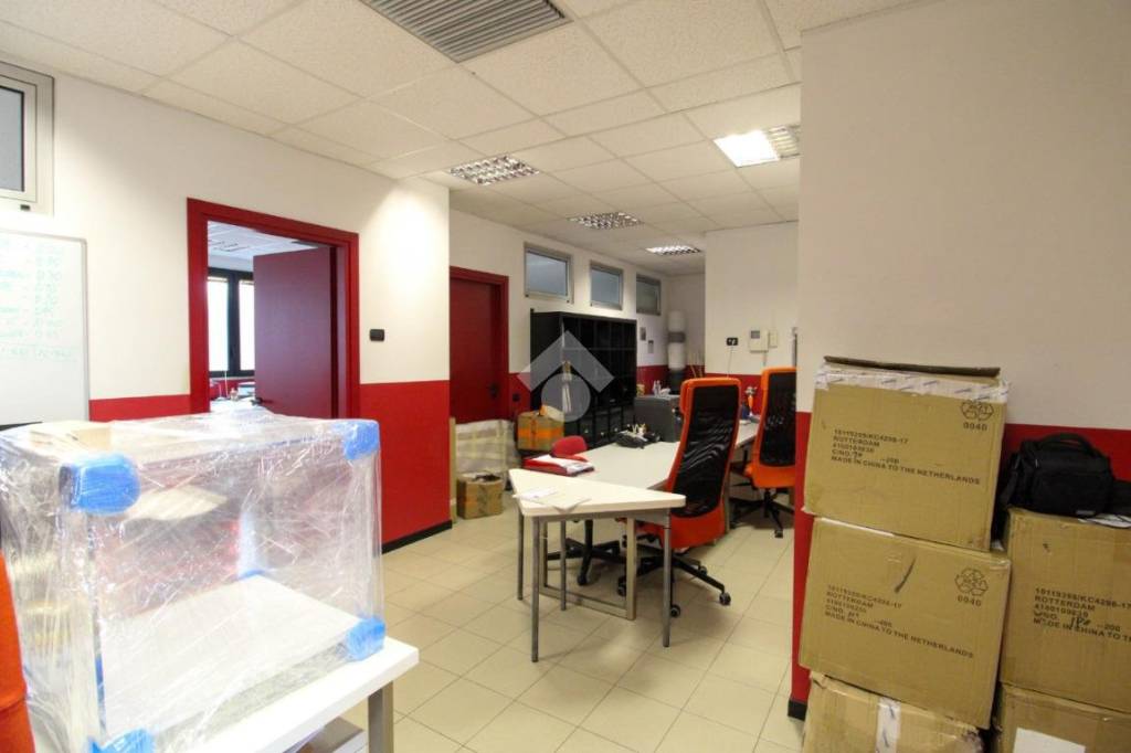 immagine annuncio 9 di 15