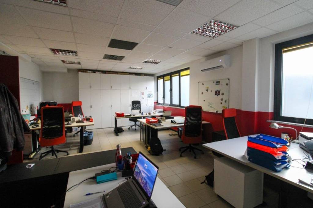 immagine annuncio 10 di 15