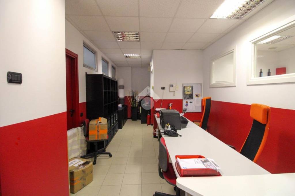 immagine annuncio 12 di 15